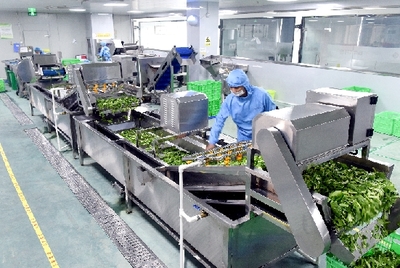 每頓提供1.2萬份快餐 樂清首家集體用餐配送中心建成
